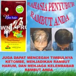 Obat Bio Hair 123 Penumbuh Rambut Ampuh